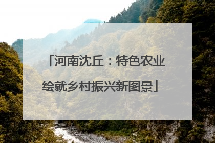 河南沈丘：特色农业绘就乡村振兴新图景